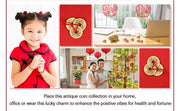 6Pcs Lucky Numer 1199 For Chinese Feng Shui Coins for Wealth and Success Happy And Lucky